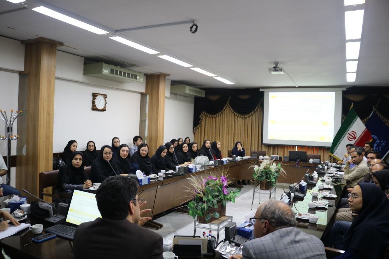 photo 6 2025 11 03 09 47 30